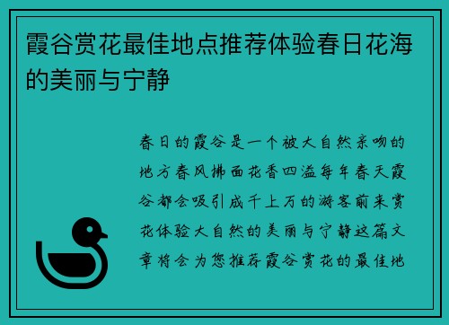 霞谷赏花最佳地点推荐体验春日花海的美丽与宁静 霞谷赏花最佳地点推荐体验春日花海的美丽与宁静